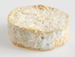 Cheeses of the world - Abbaye de la Pierre-qui-Vire